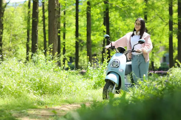 為什么大部分電動車都用鉛酸電池而不是鋰電池？原因是什么？